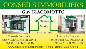 Conseils Immobiliers Villeneuve sur Yonne
